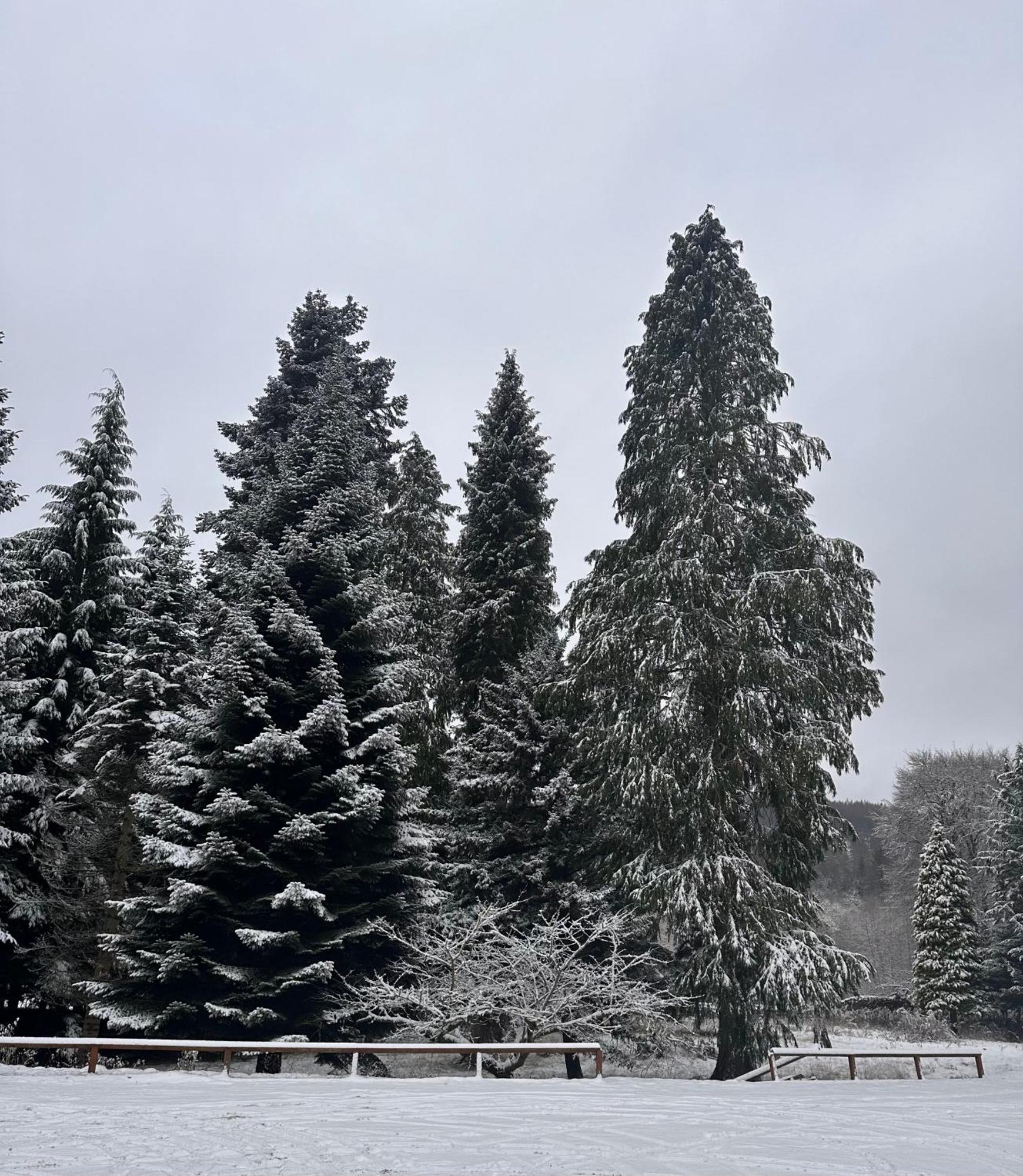 Kinnaird Woodland Lodges Pitlochry Zewnętrze zdjęcie